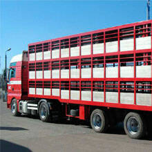 Транспорт для перевозки птицы и животных