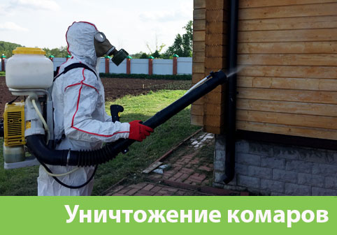 Уничтожение комаров в городе Москва